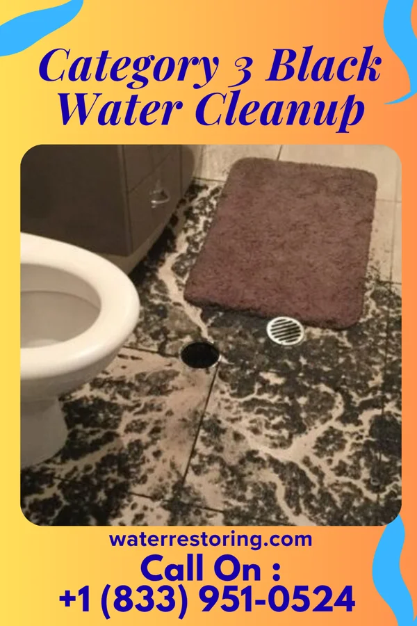 Category 3 Black Water Cleanup in Chaska, MN