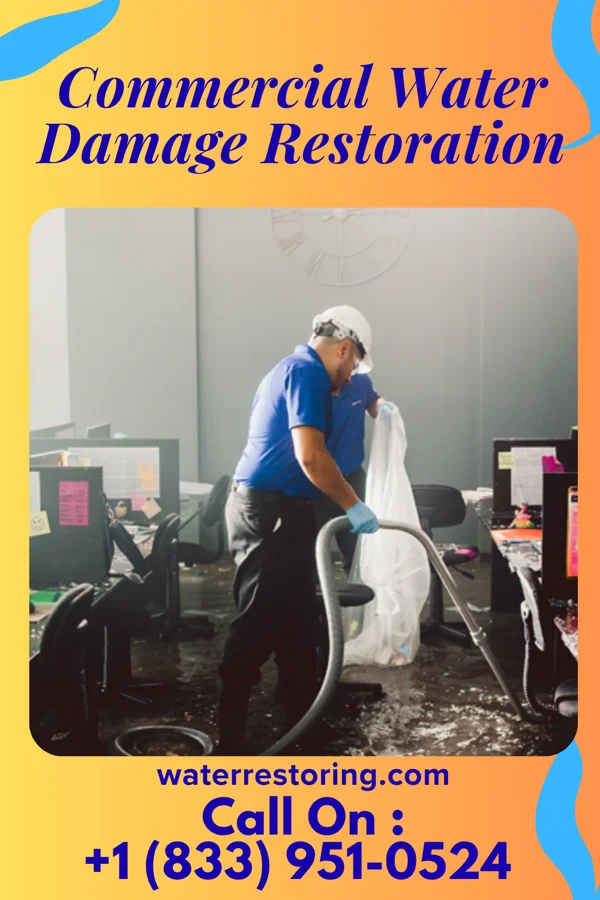 Commercial Water Damage Restoration in Chaska, MN