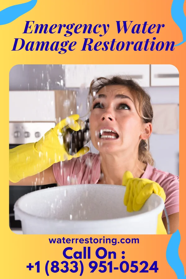 Emergency Water Damage Restoration in Chaska, MN