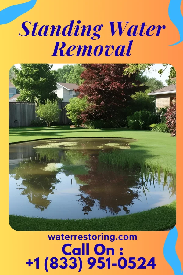 Standing Water Removal in Chaska, MN